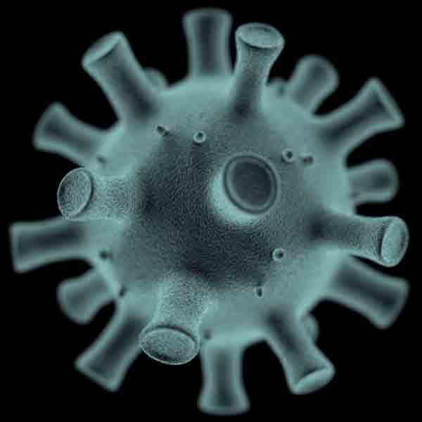 Viruses Under Electron Microscope